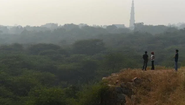 Vista de Delhi